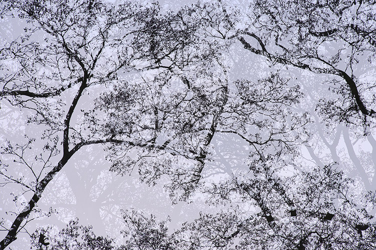 Slider-Sandra-Archiv_07